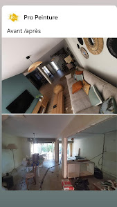 Pro peinture