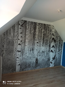 JPP Peinture Platrerie