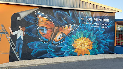 SAS PILLION PEINTURE