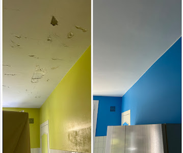 YOTAM PEINTURE LAFFONT