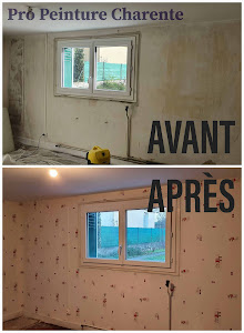 Pro Peinture Charente - Peintre en bâtiment Angoulême
