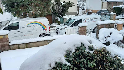 Peinture David Schmid